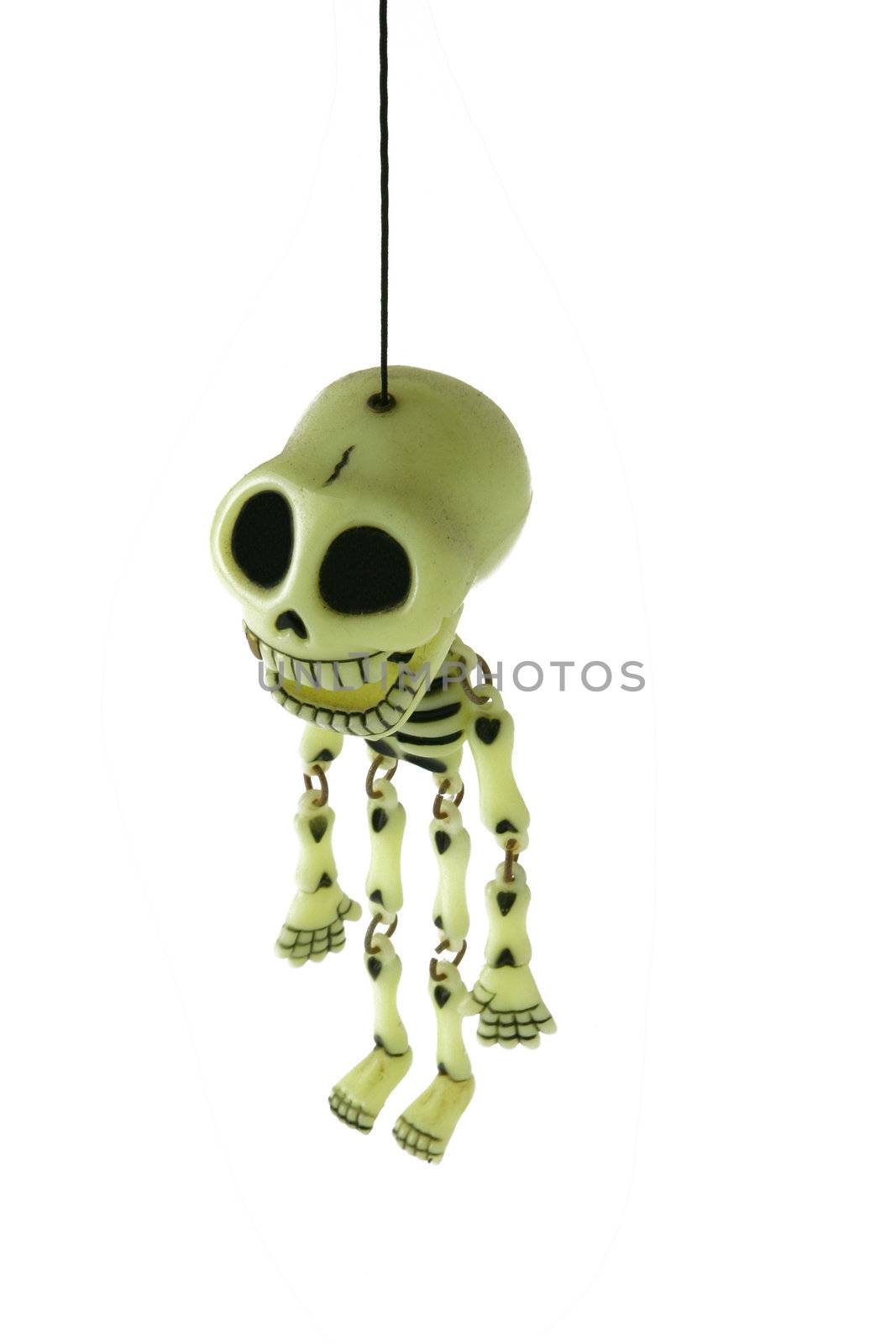 Toy skeleton