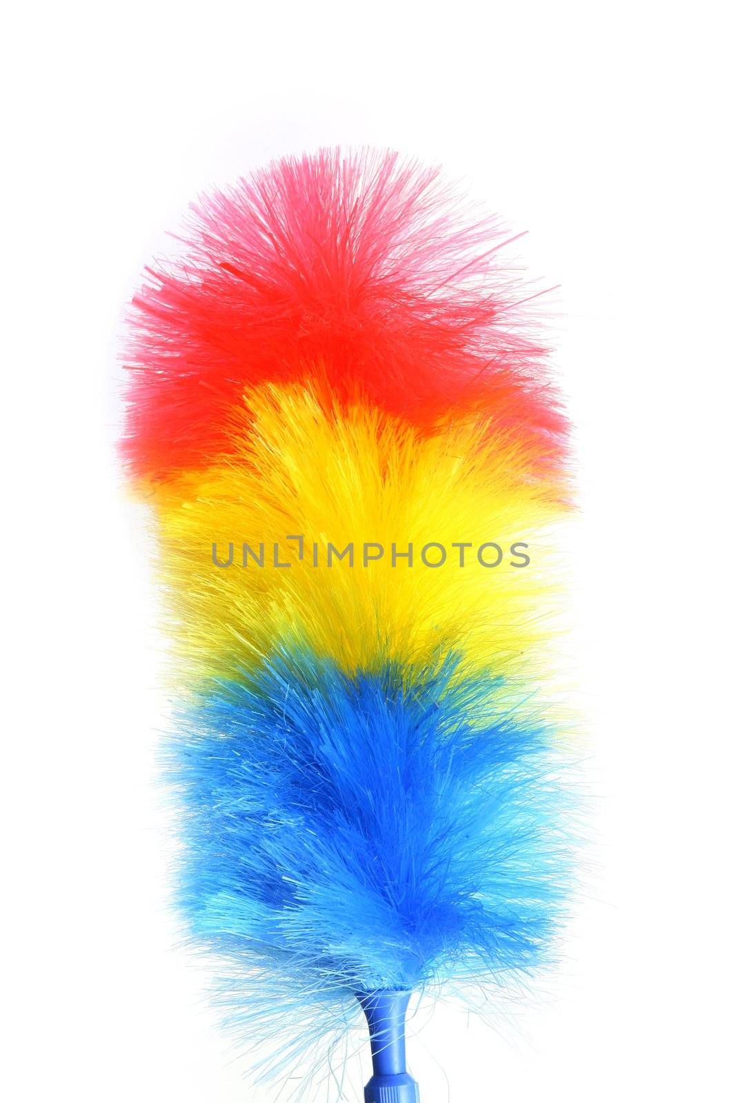 Feather duster by phovoir