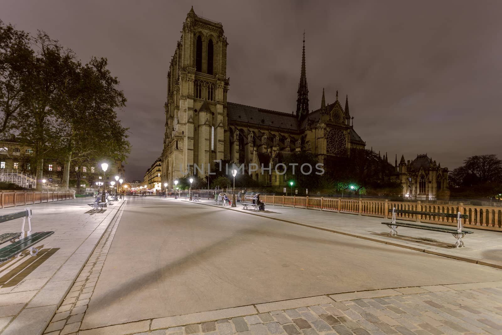 The famous Notre Dame at night in Paris, France