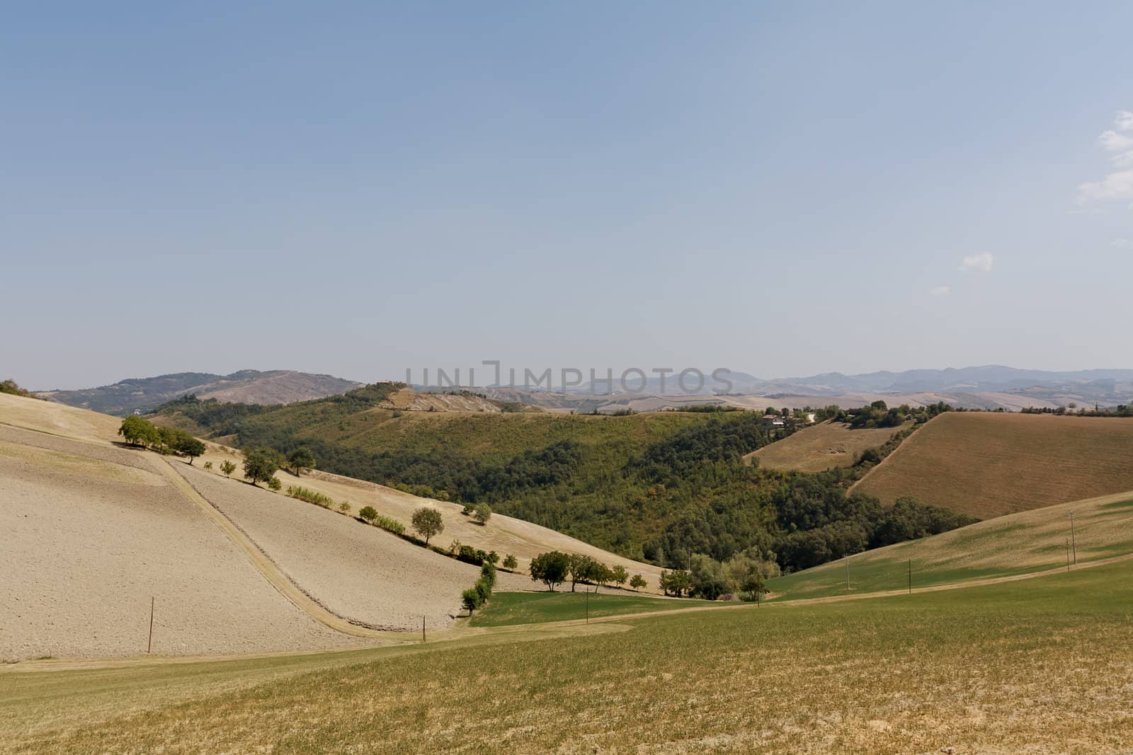 Landscape a rural field in Italy in a farm