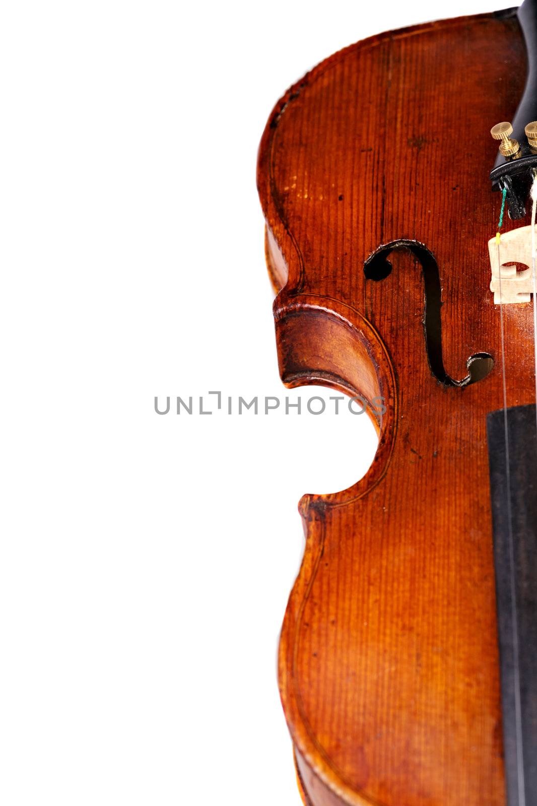 Violin isolated on white