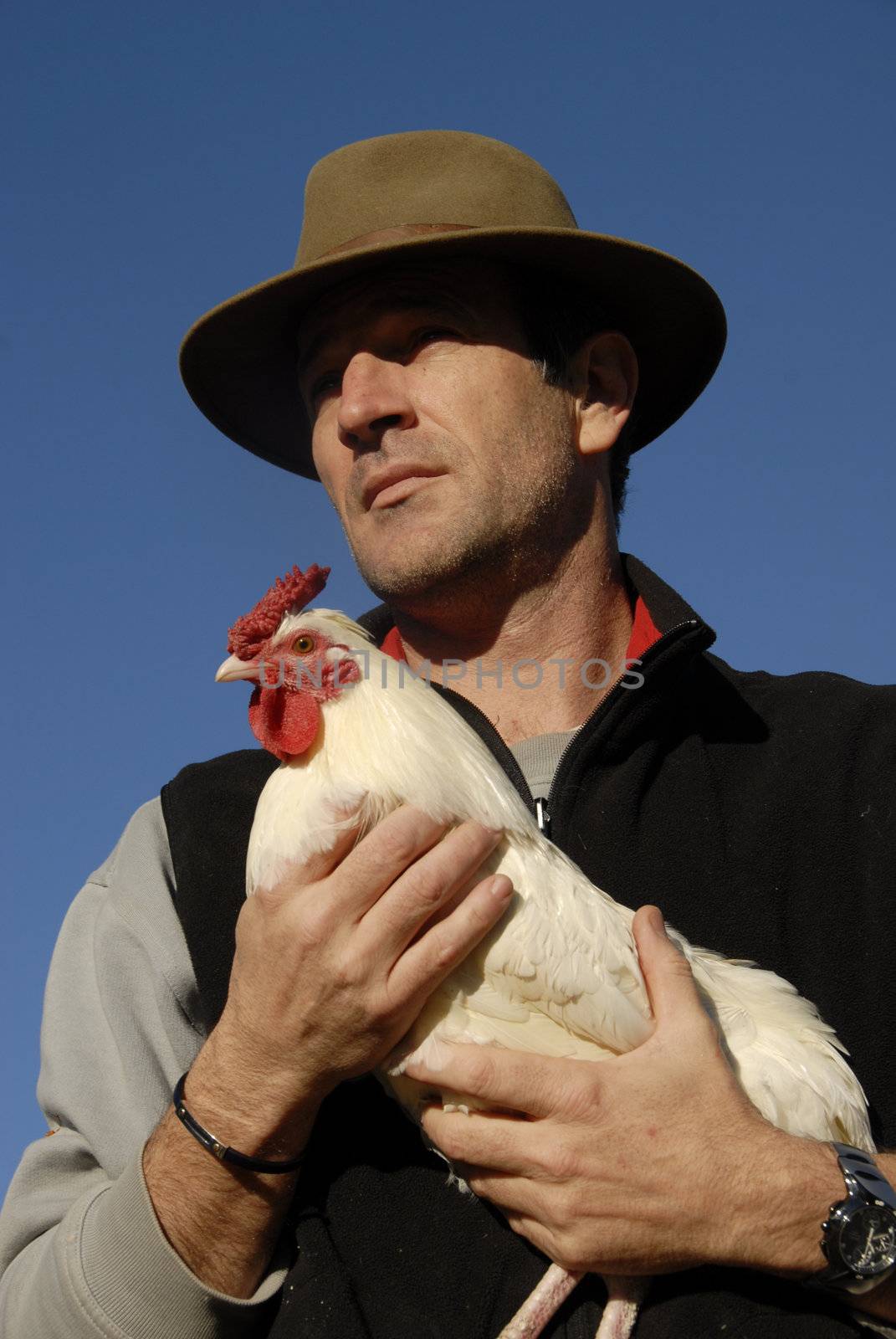 beautiful french man with hat and his white chicken 