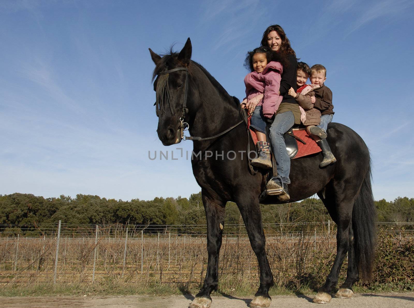 children and mother and a black stallion on a street