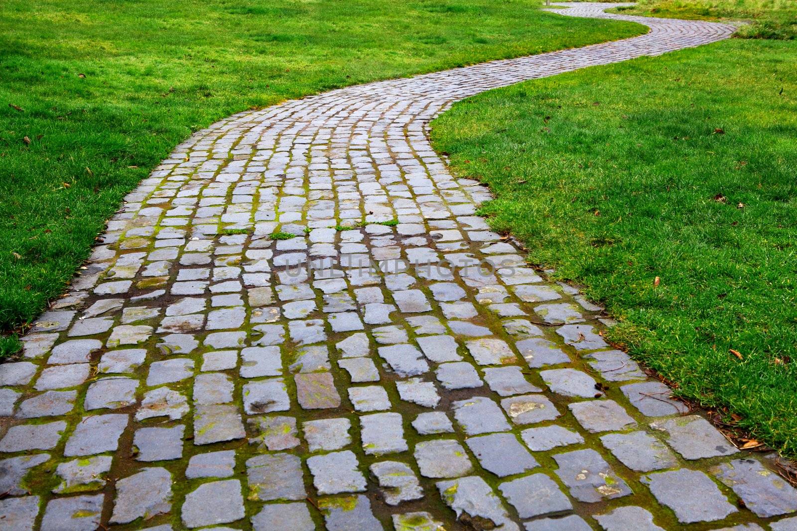 Old worn and broken Curvy Brick Path in grass diminishing in distance
