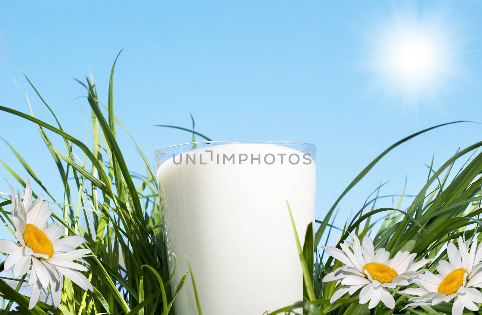 Fresh glass milk by sergey150770SV
