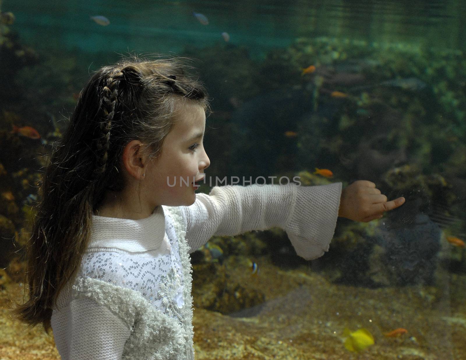 little girl and aquarium by cynoclub