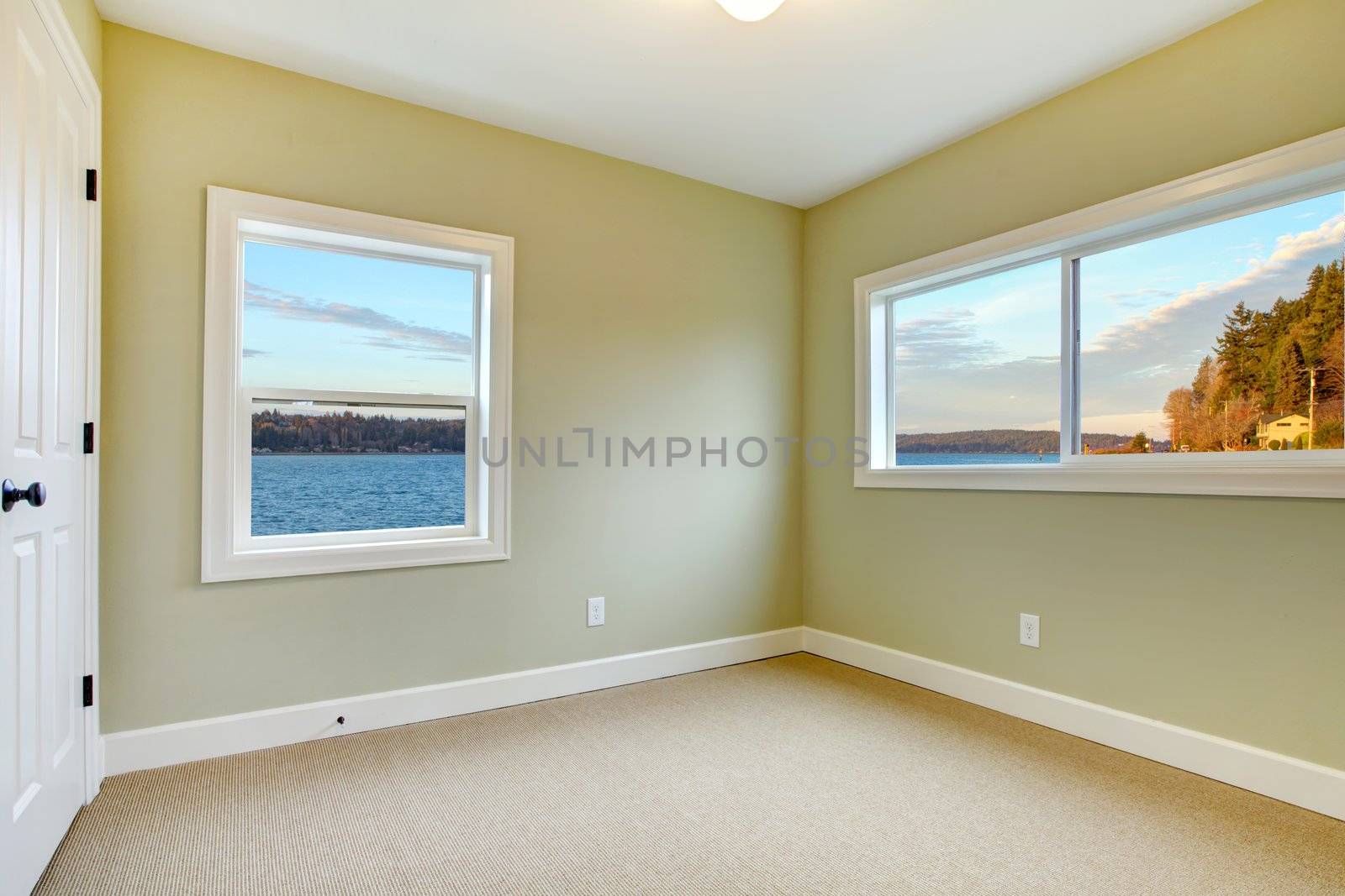 Green walls, beige carpet and water view bedroom.