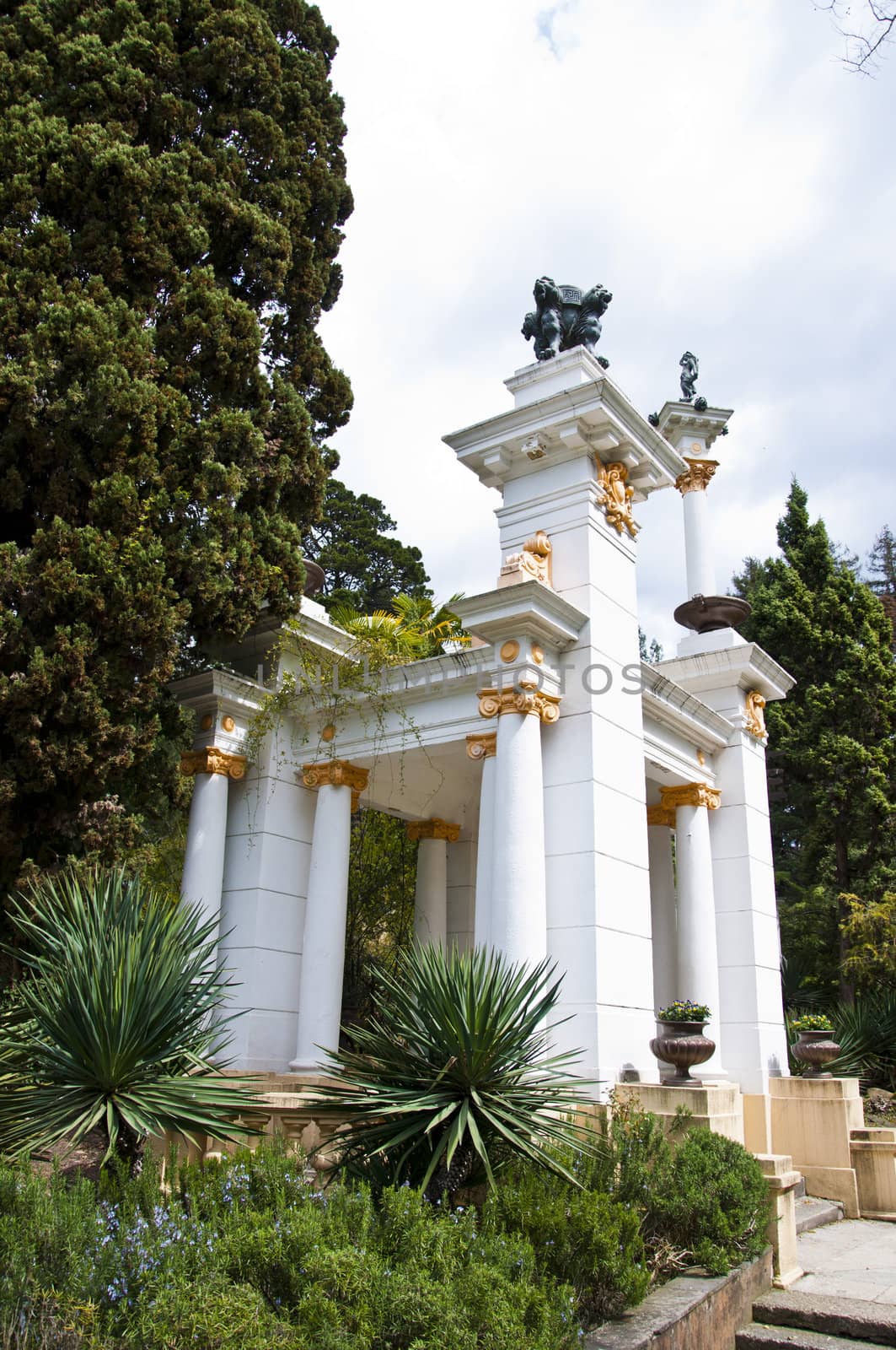 Natural arboretum park in city Sochi. Spring