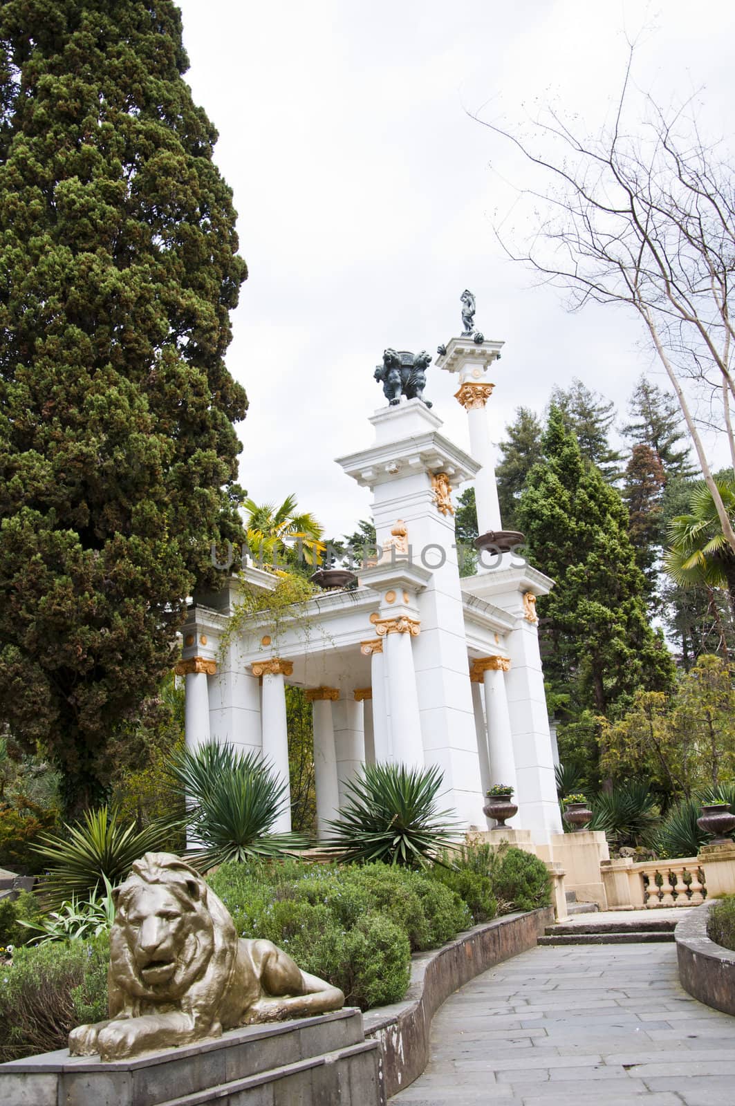 Natural arboretum park in city Sochi. Spring
