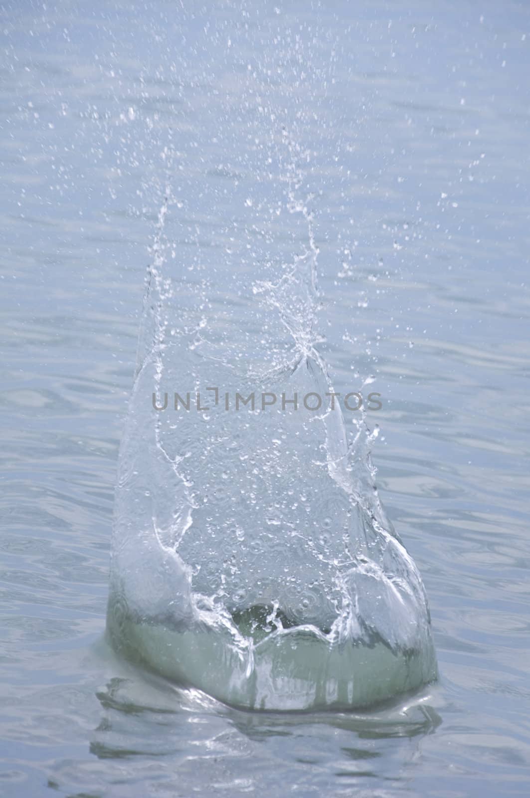 The spray of water in the sea