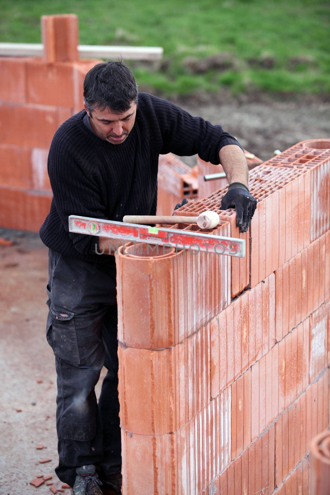 Bricklayer building a house
