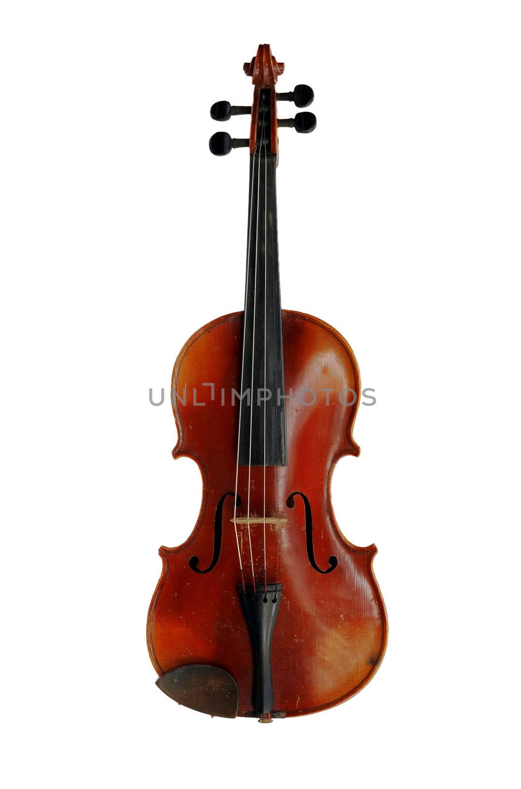 Old violin on white background