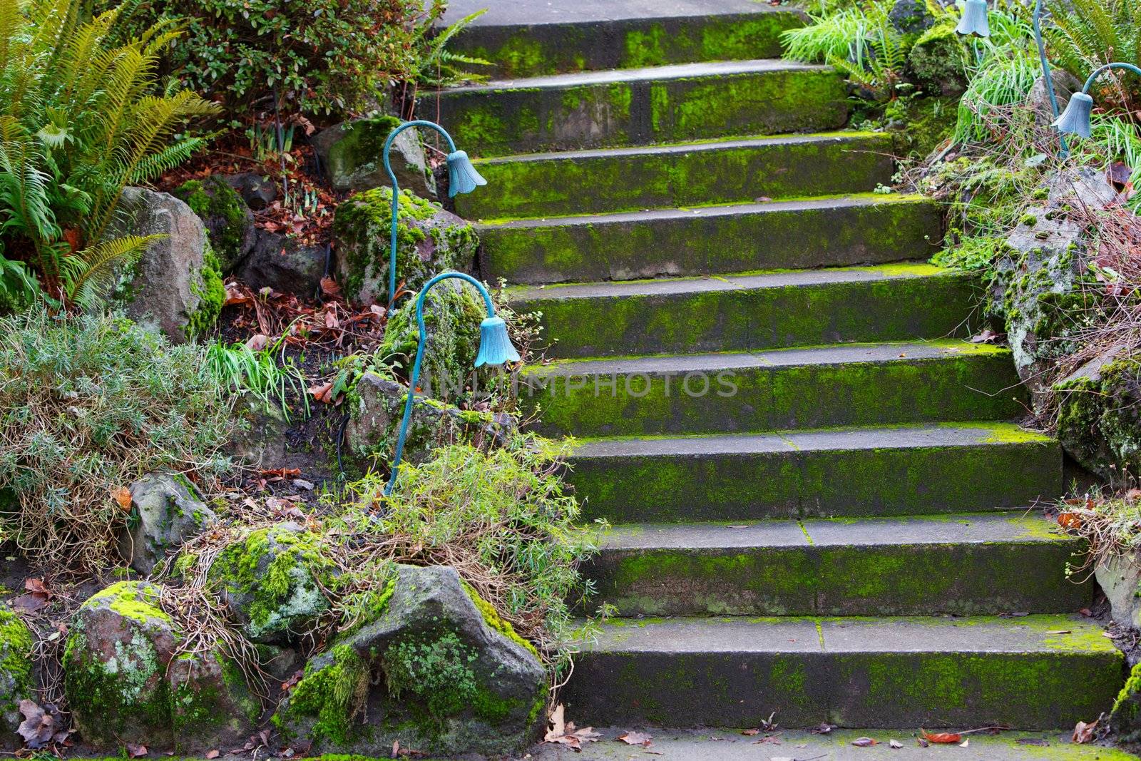 Old moss covered Curved Concrete Steps up a small home hill