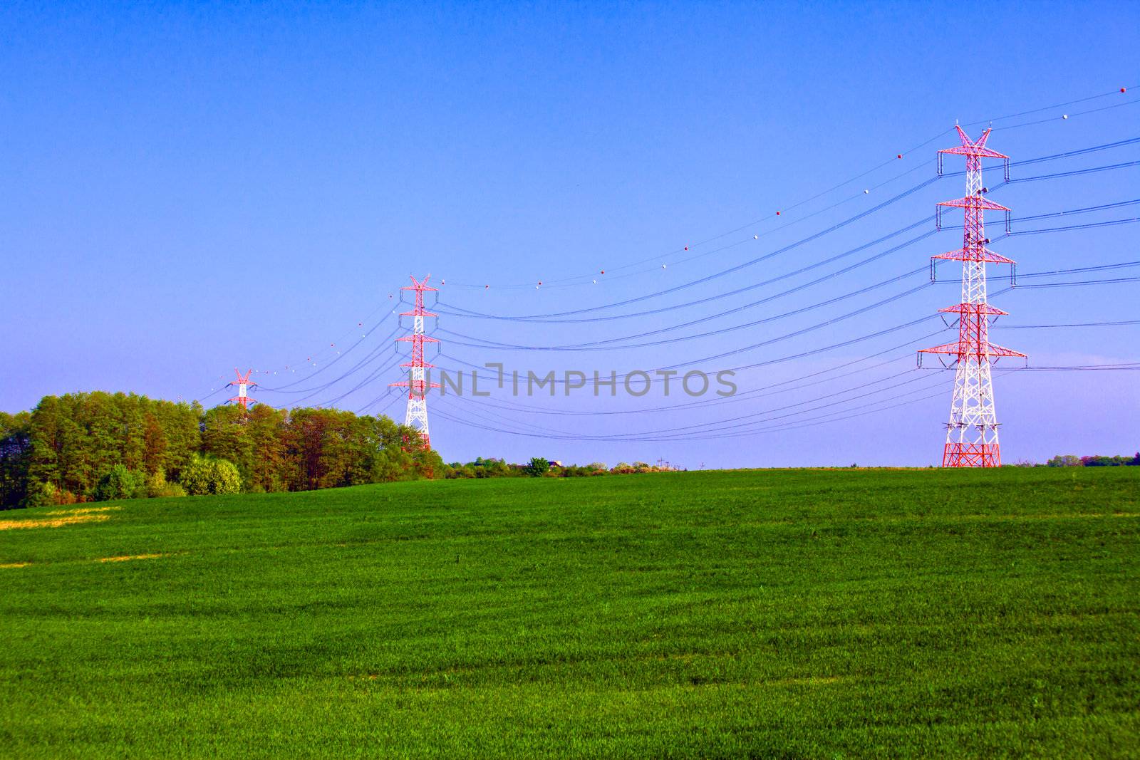 Summer landscape with field high voltage pylons
