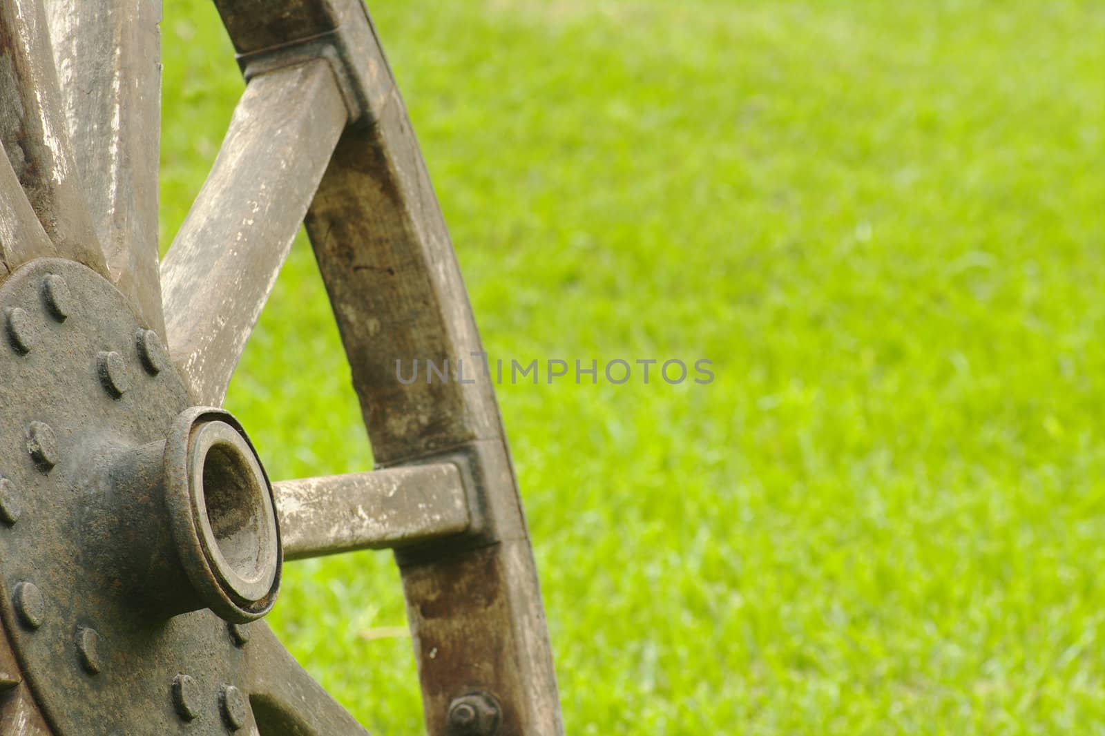 Old wooden wheel standing with grass background (Selective Focus)