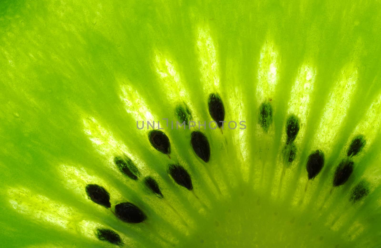 Macro shot of a kiwi slice
