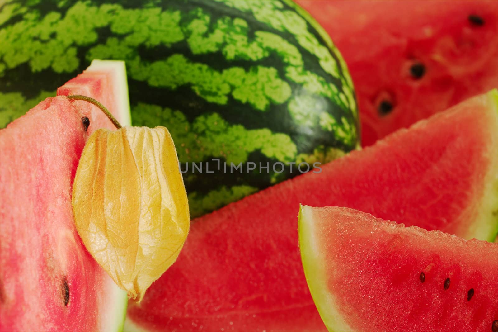 Physalis fruit (Chinese Lantern) in between water melon slices (Selective Focus)