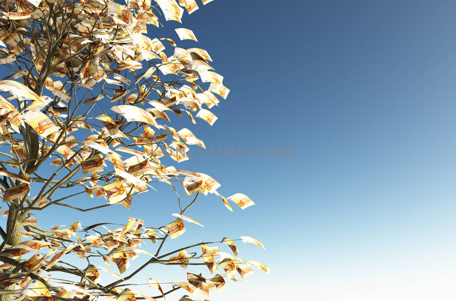 close up of a tree with 50 euro bills instead of the leaves on the left and the blue sky on background