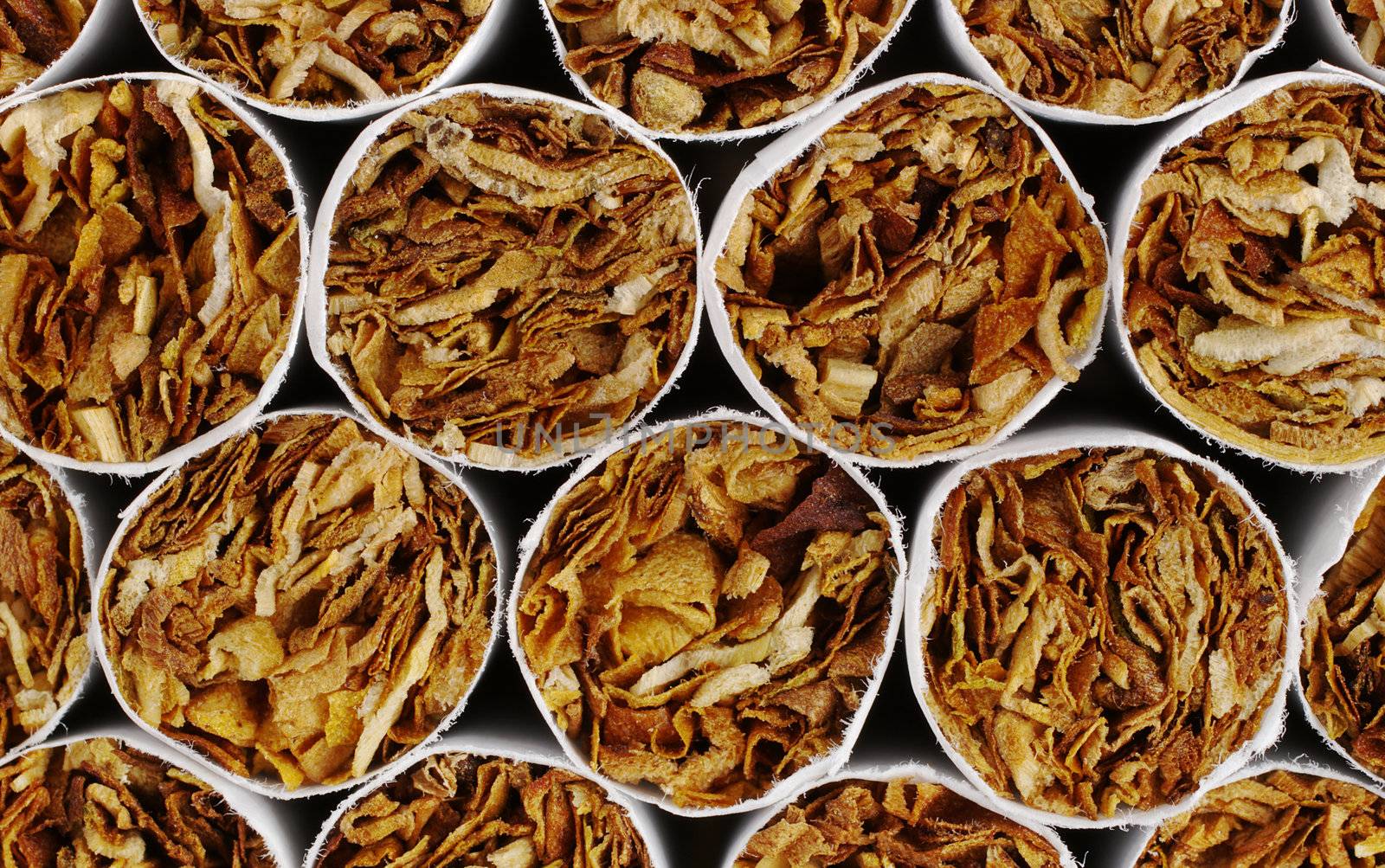 Cigarette Tips with Tobacco as Background