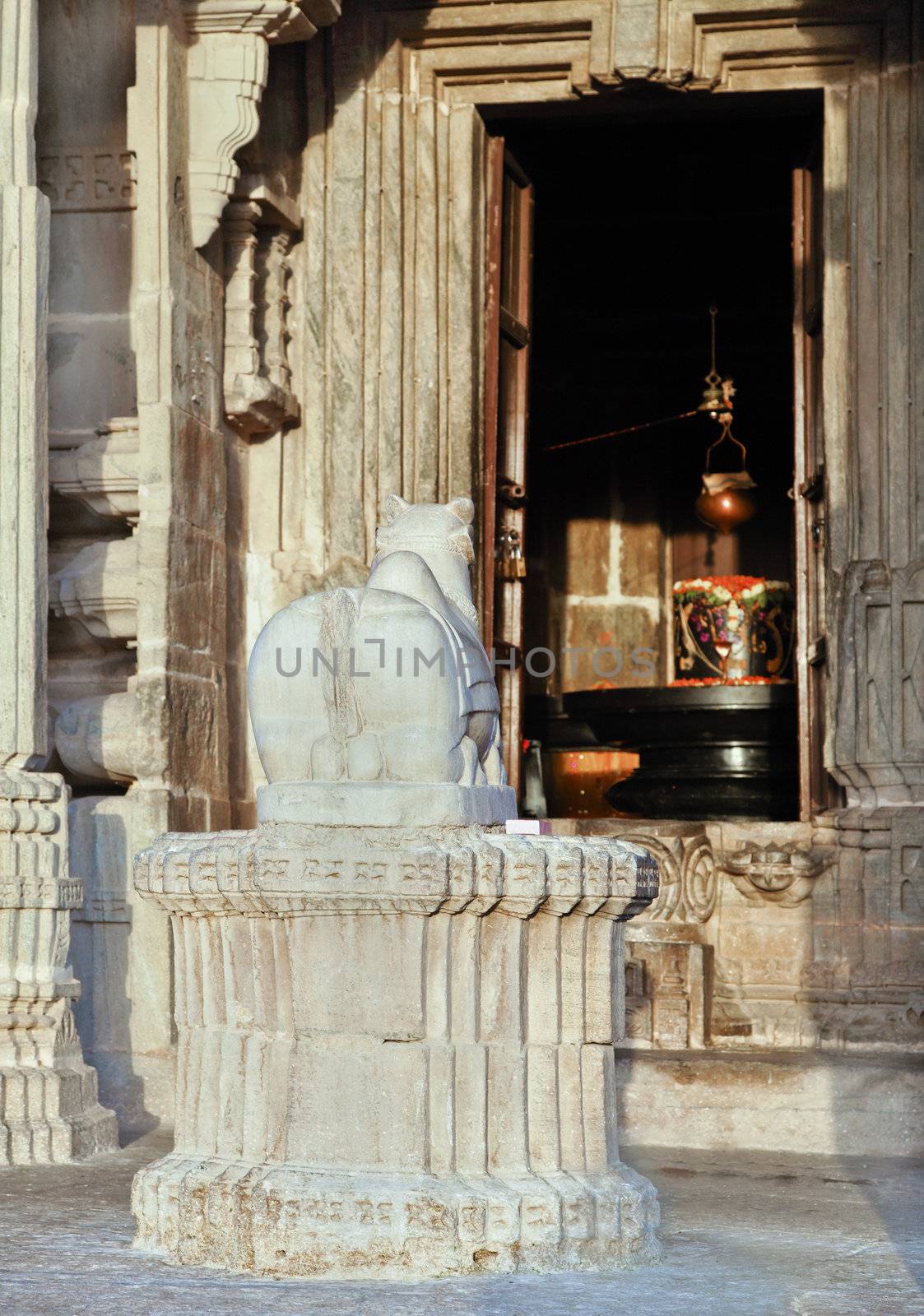 Hindu sacred cow outside the doorway to the Shiv Ling at Kumbhalghar Fort Rajashan India