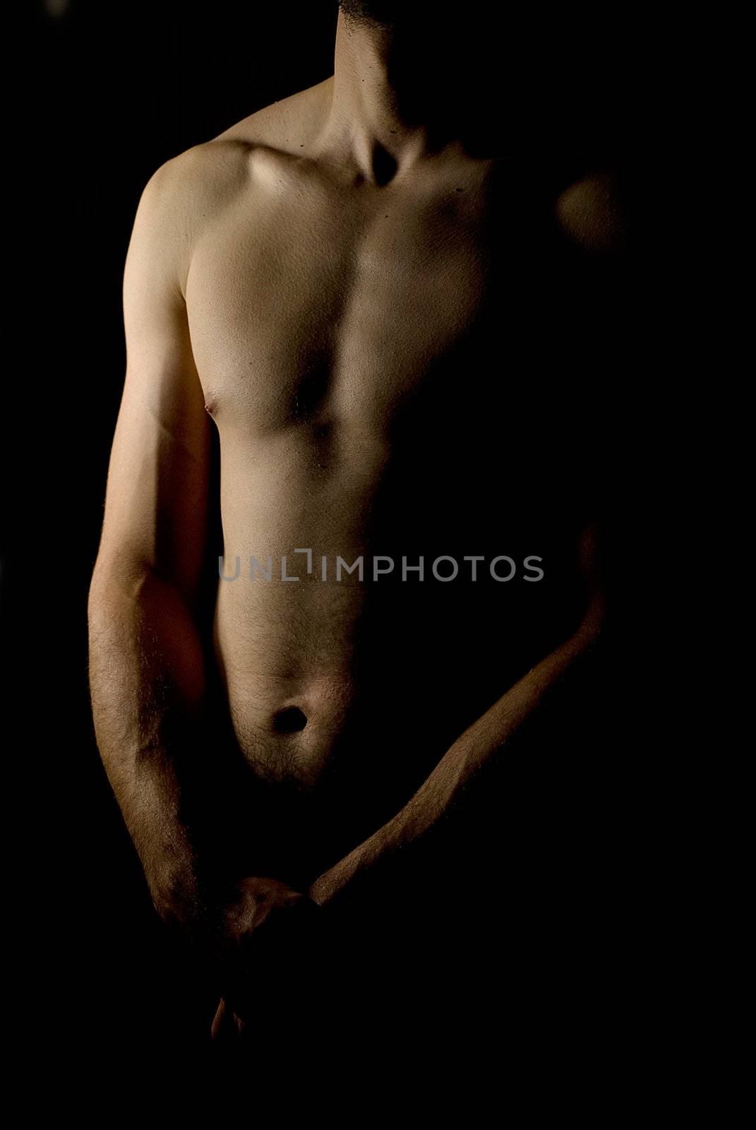 sexy fit naked male body on black background low key