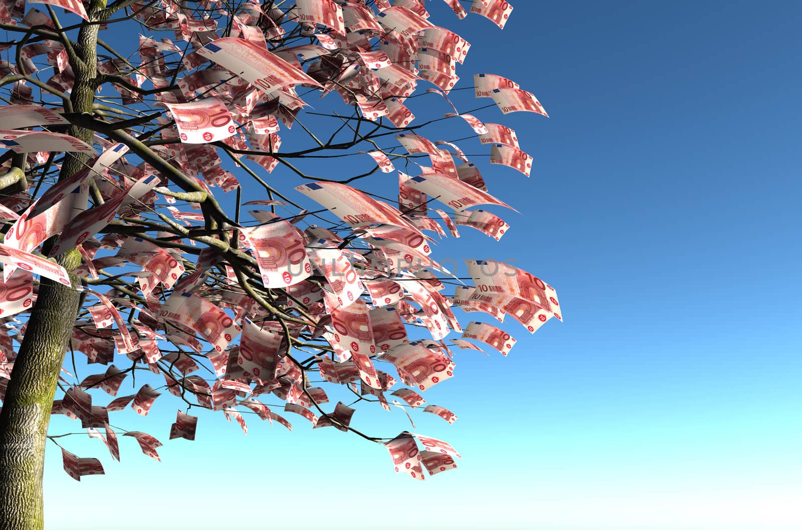 close up of a tree with 10 euro bills instead of the leaves on the left and the blue sky on background