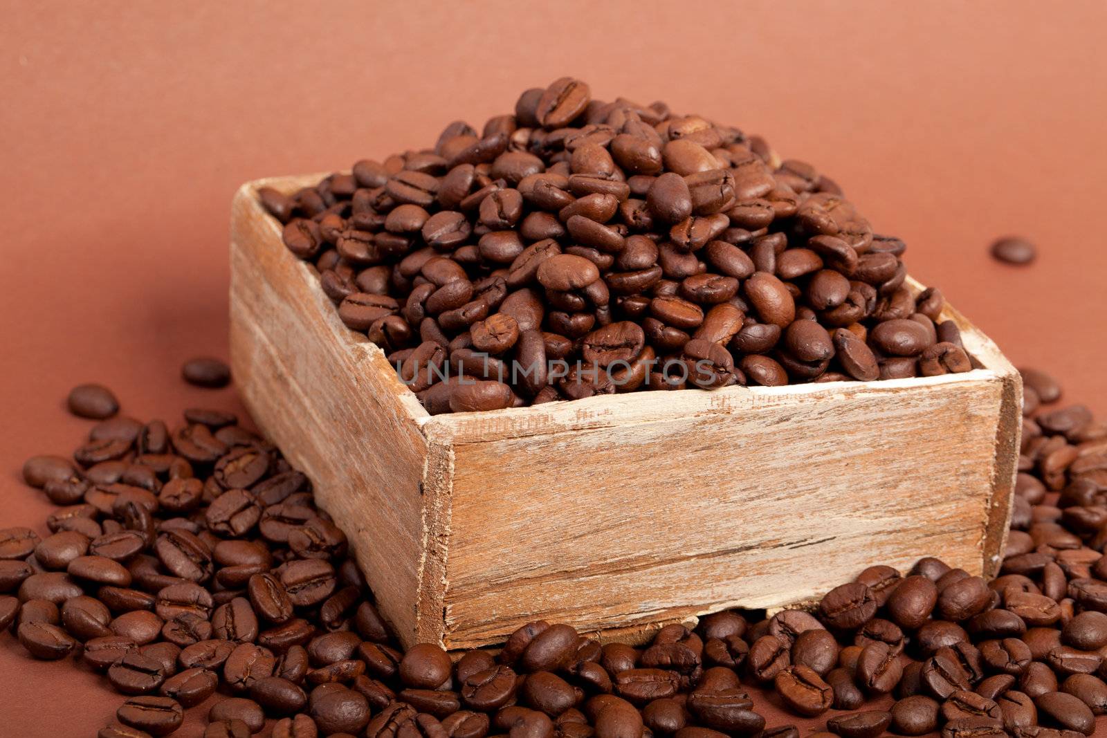 coffee beans by motorolka