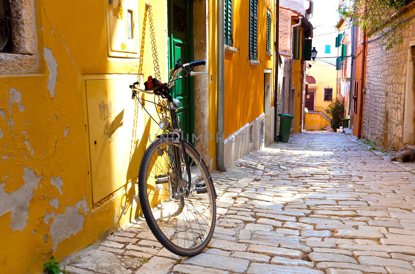 street in the small town Rovinj, Croatia