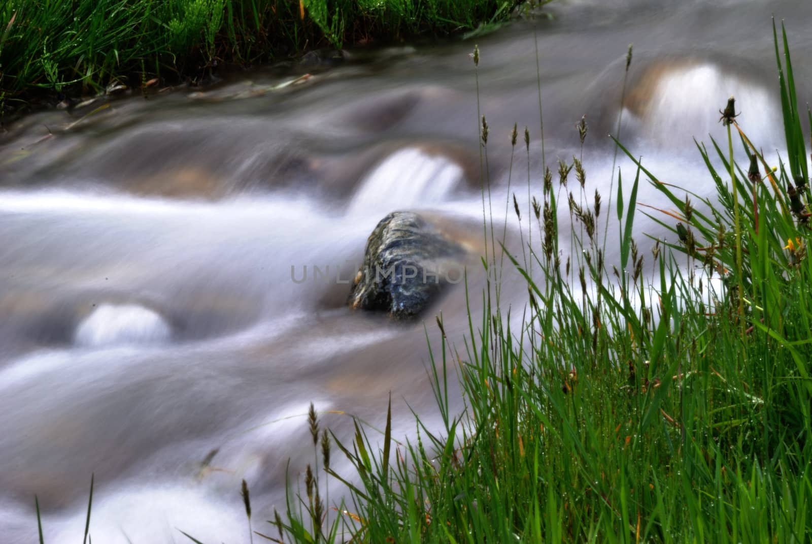 background, beautiful, beauty, bloom, blossom, blue, cascade, clean, closeup, colorful, ecology, environment, flora, floral, flower, flowing, forest, fresh, garden, grass, green, isolated, lake, landscape, leaf, macro, mountain, natural, nature, outdoor, outdoors, park, petal, plant, river, rock, scenery, scenic, season, sky, spring, stone, stream, summer, travel, tree, view, water, white, yellow