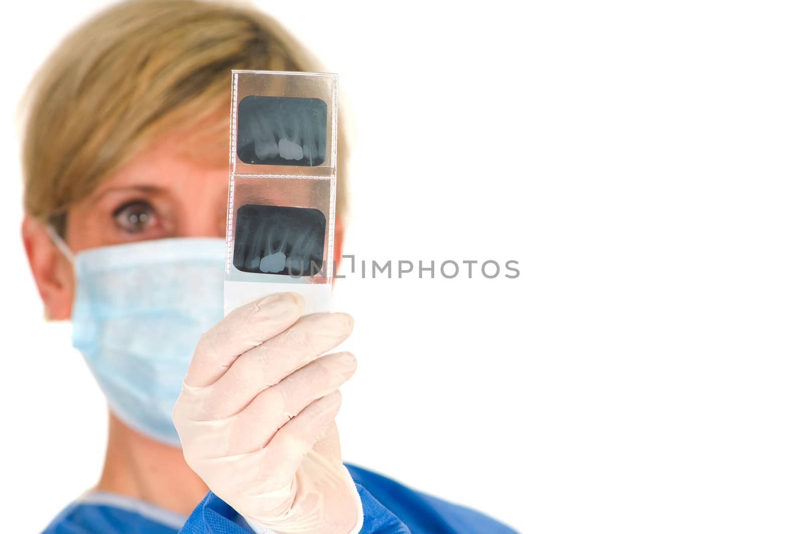 dentist holding dental radiography by ambro