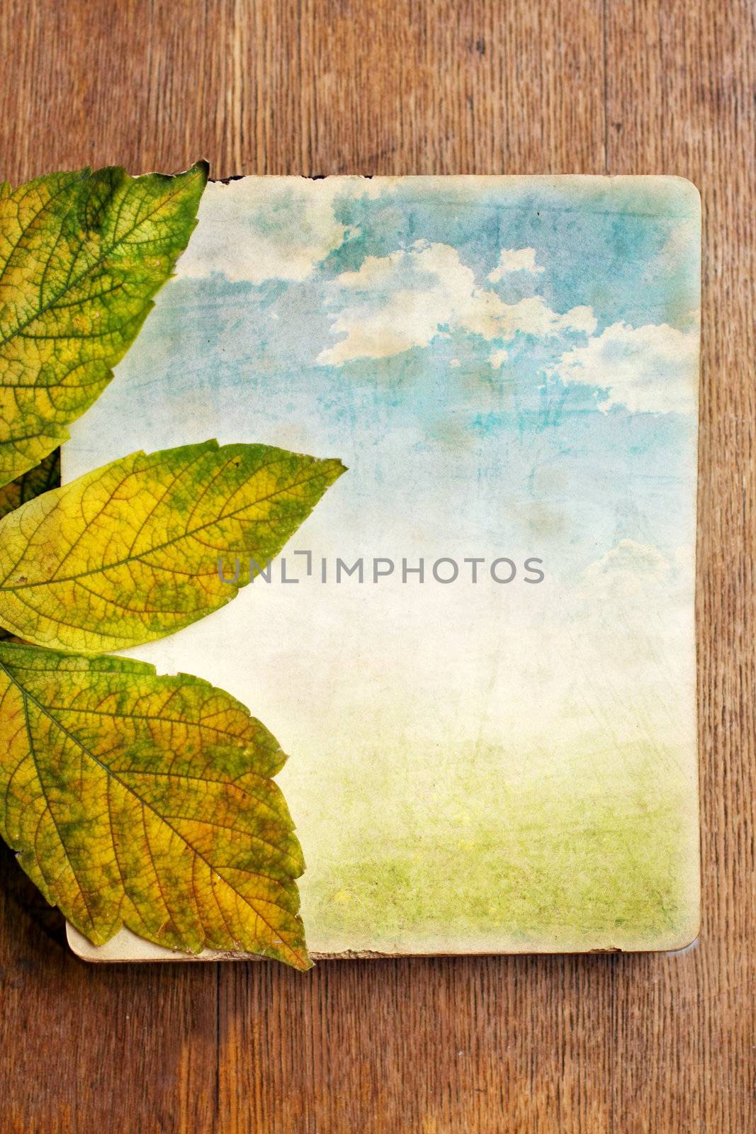 blank sheet of paper with autumn leaf