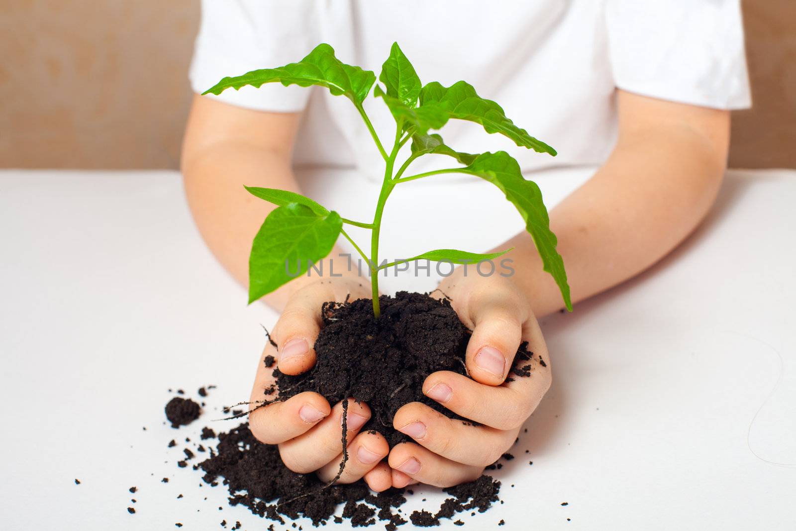 a child holding a green plant