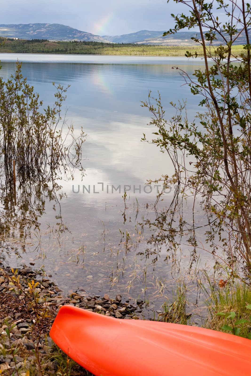 Kayak on shore in the willows alongside a lake by PiLens