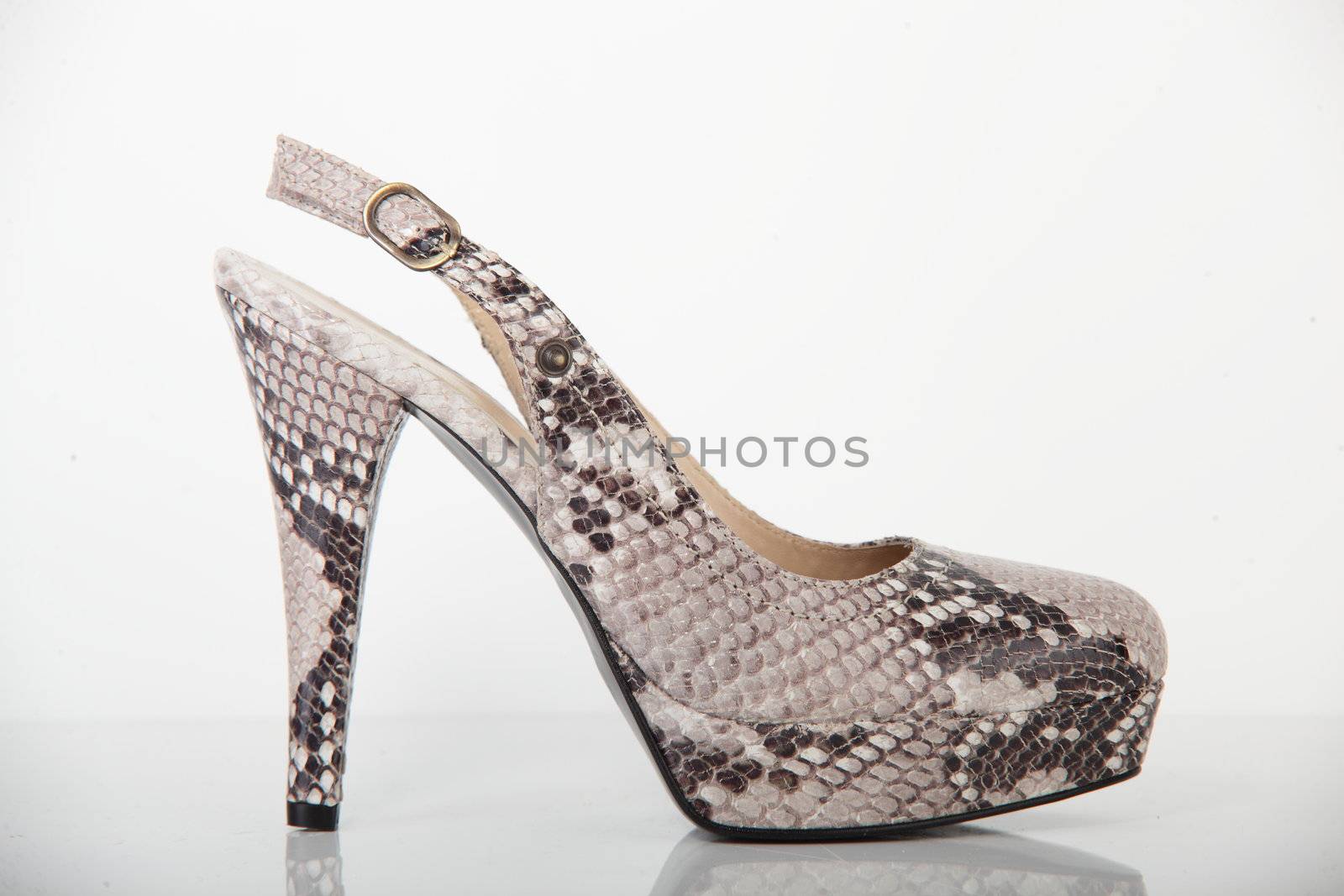 woman brand new shoe on white background