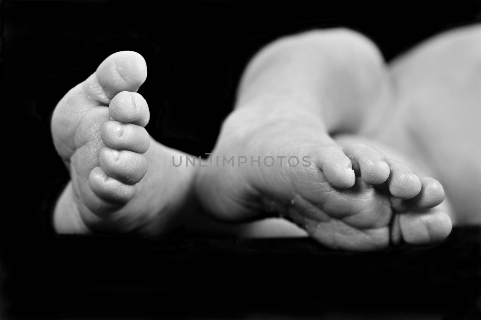 The bare feet of a new born baby by tish1