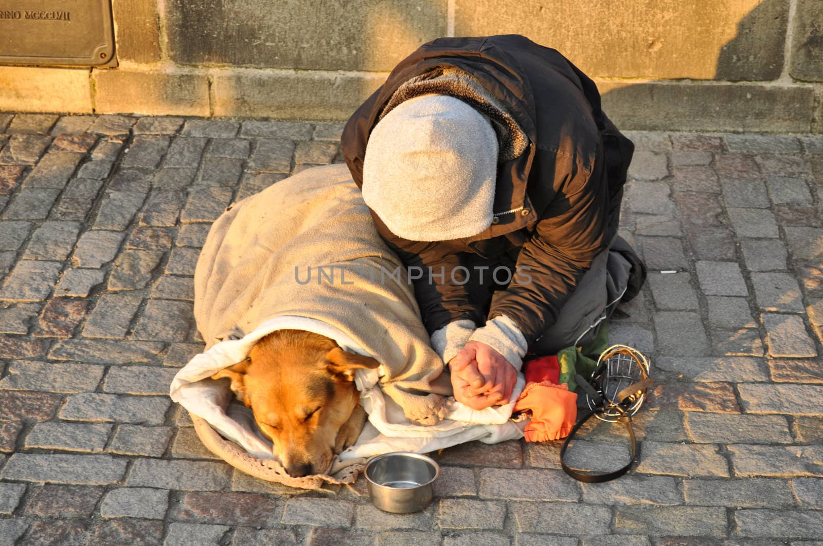 The person asking for money in the street