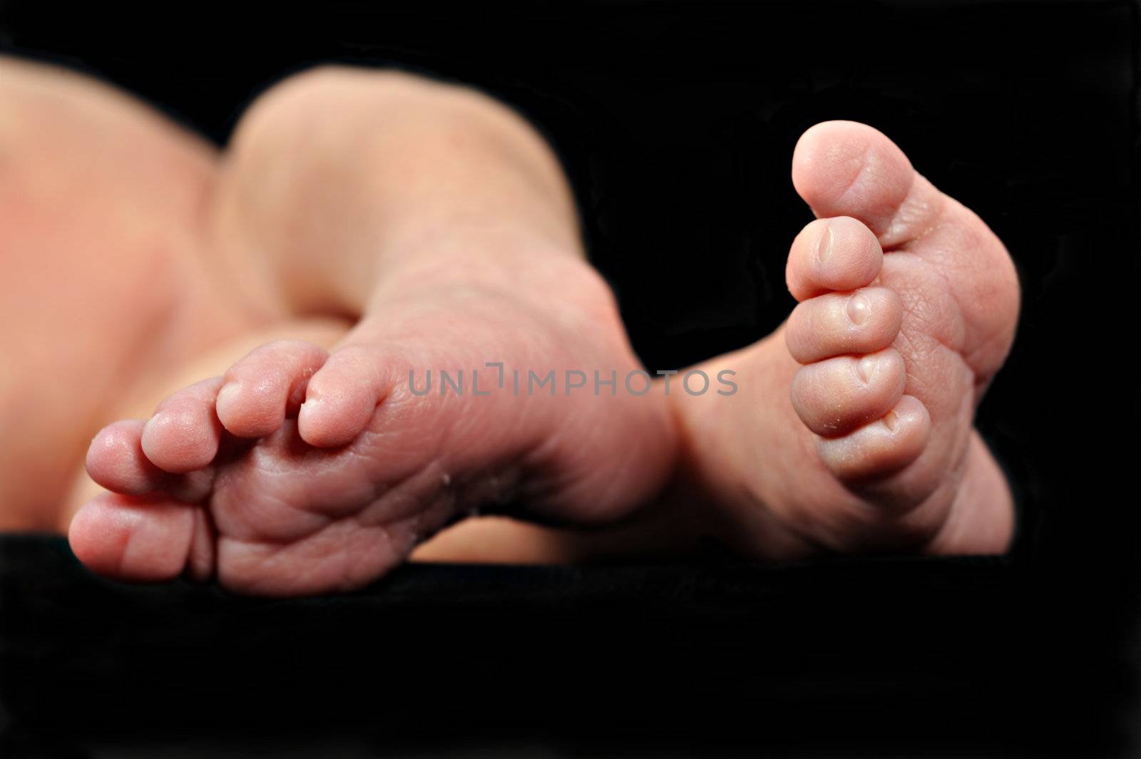 Little feet of a newborn baby