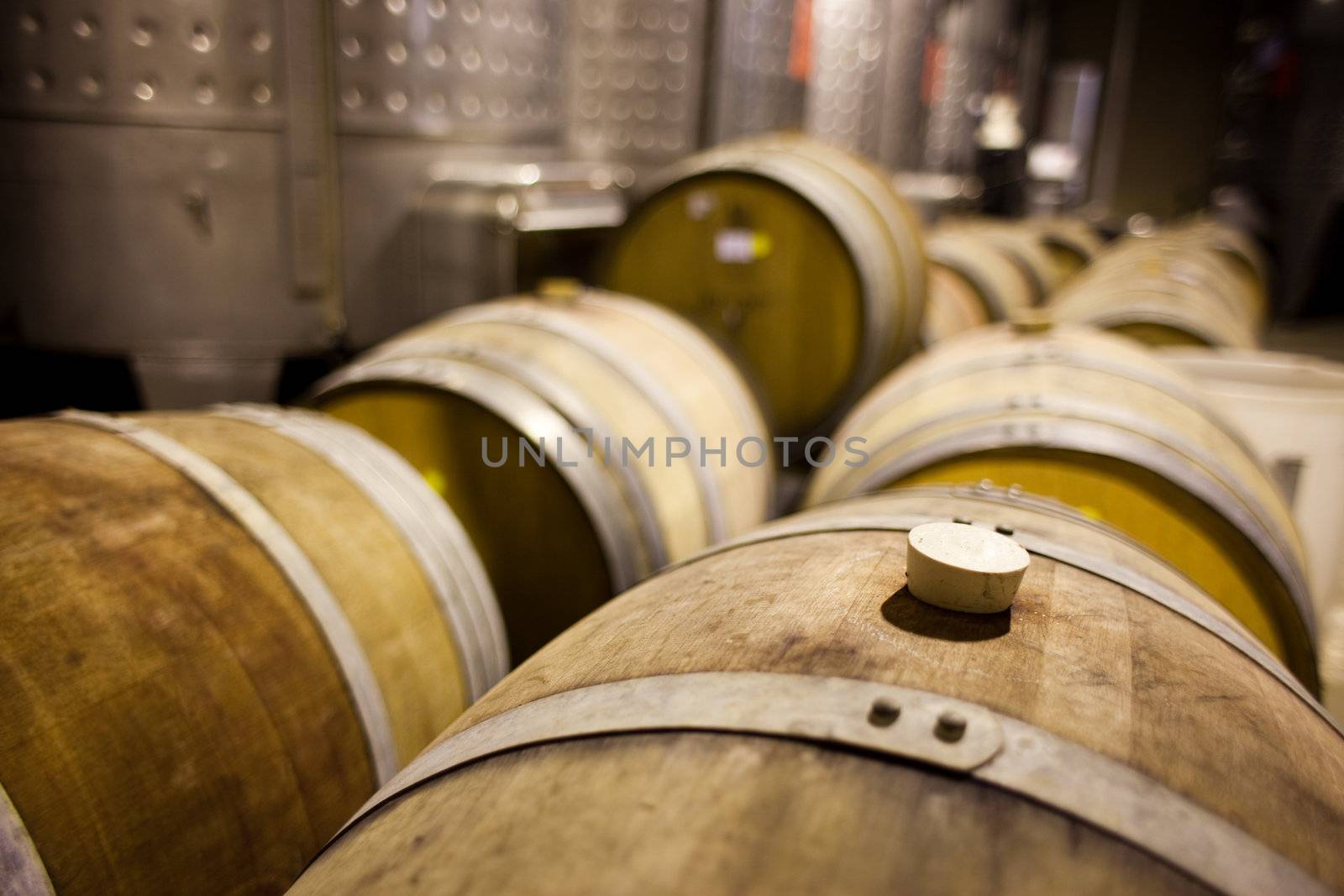 Wine barrels in rows by edan