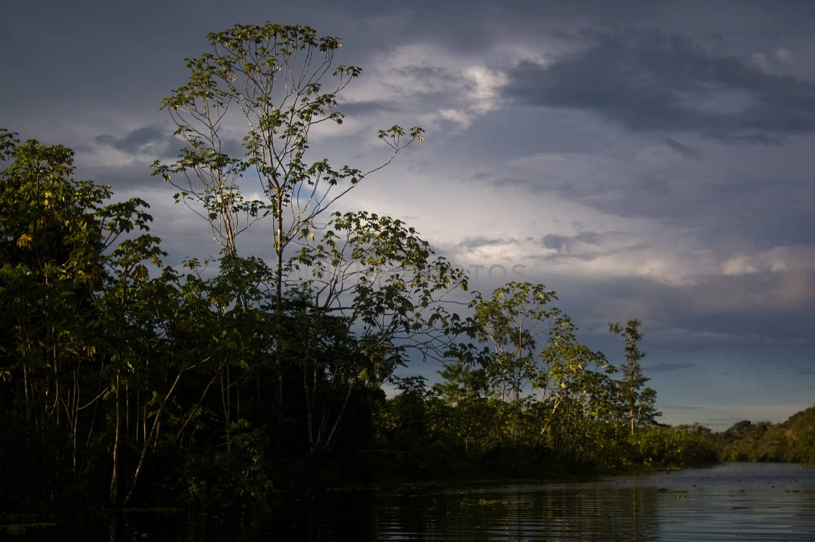 Stormy skies over the trees in the Amazon Rainforest