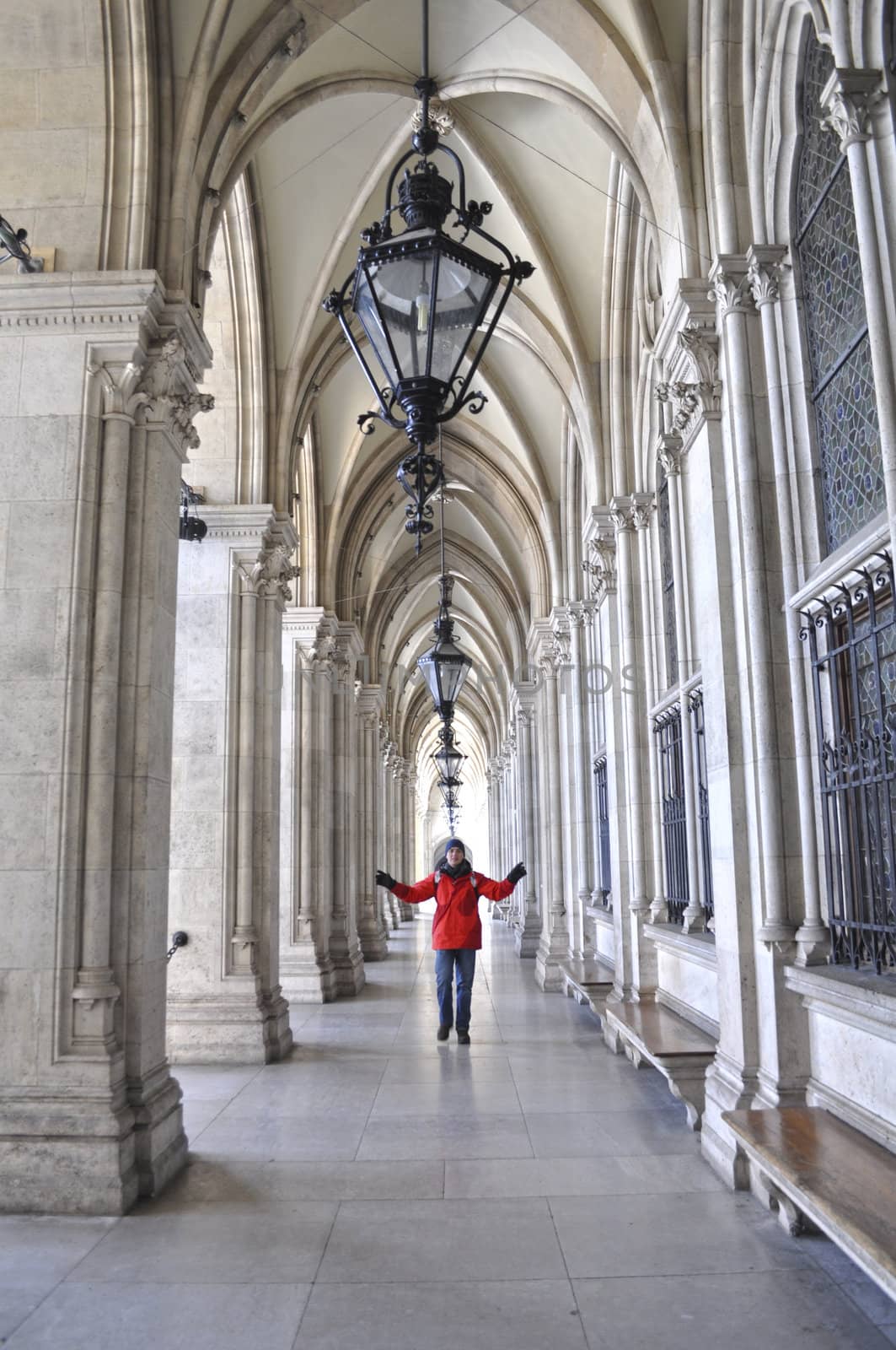 Vienna Rathaus in beautiful Vienna in Austria