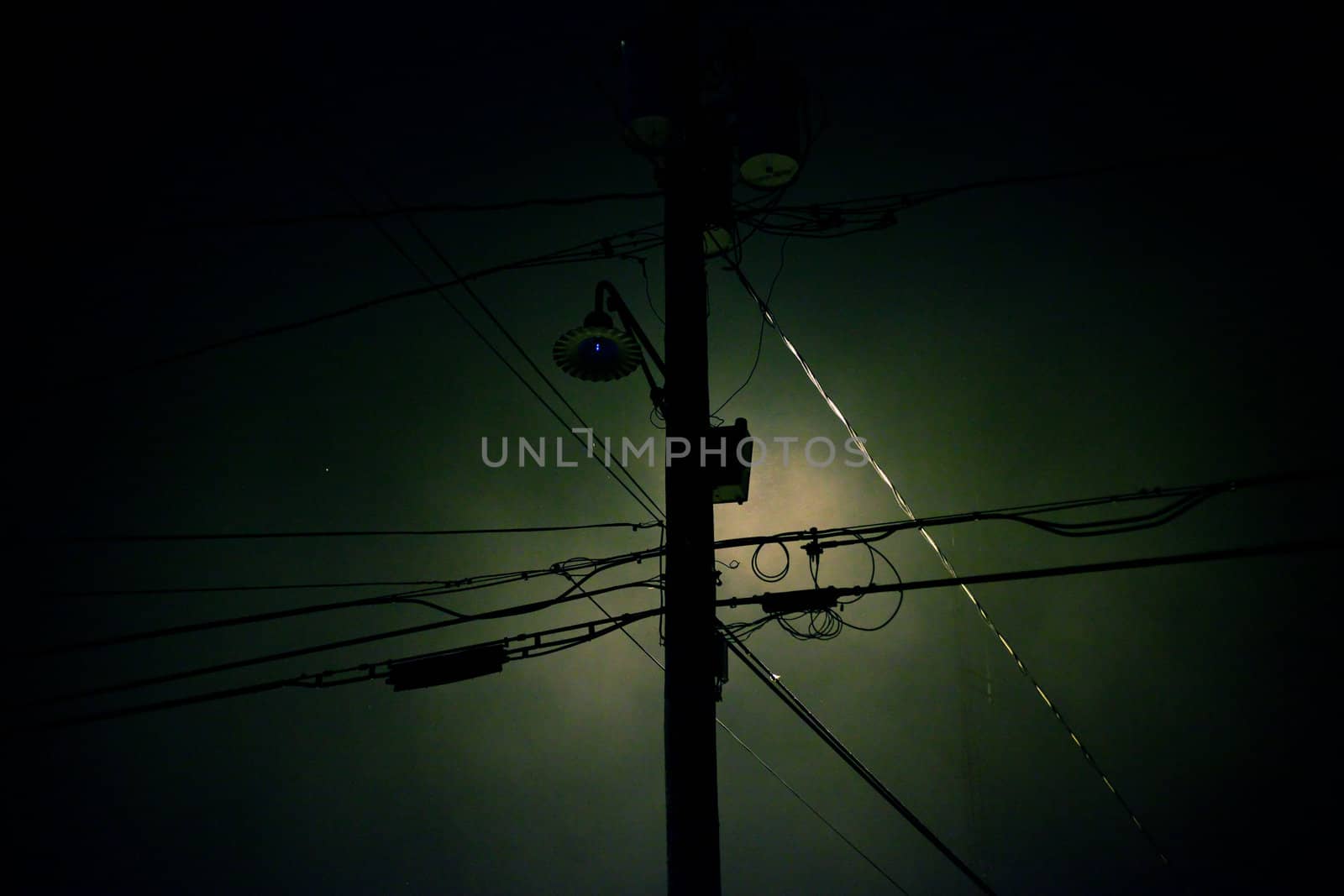 Telephone pole silhouette by edan