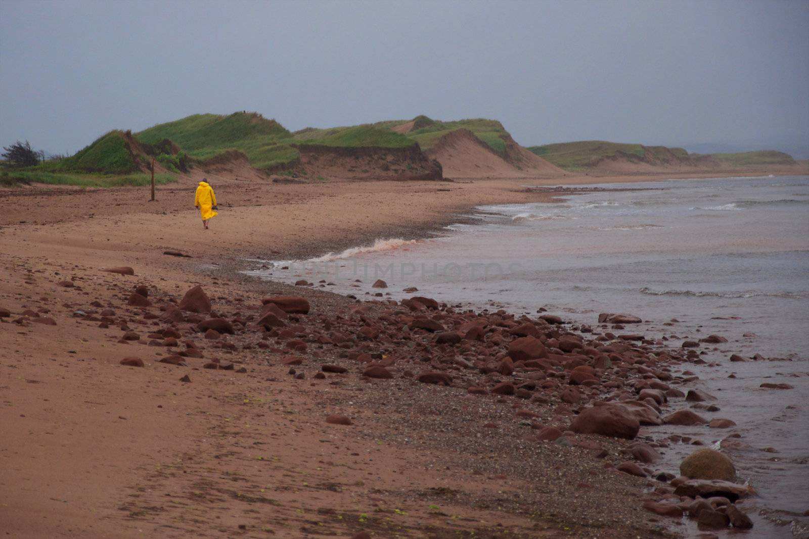 A solitary figure takes a walk on Cavendish Beach on an overcast day.