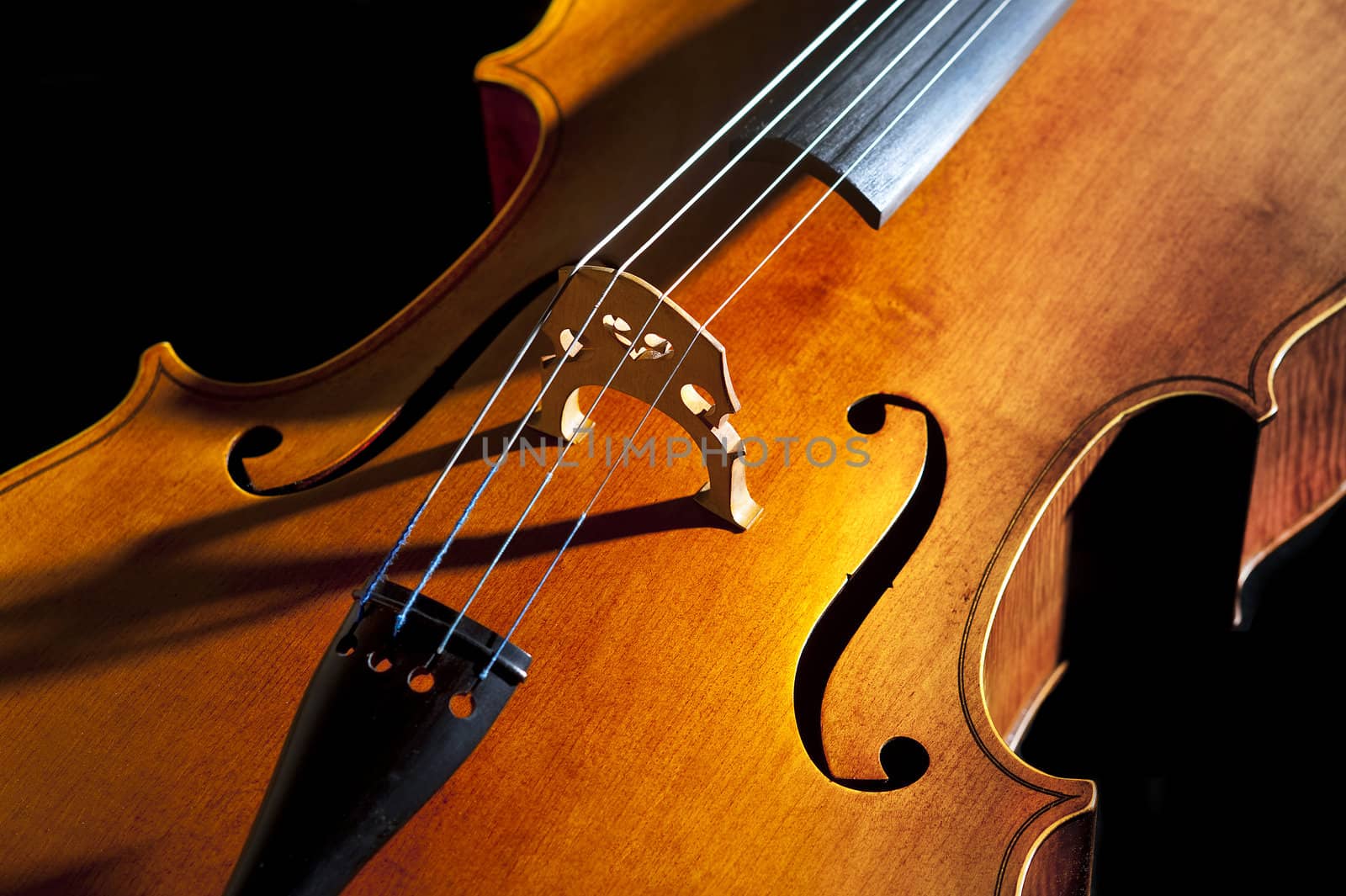 Cello or violoncello study in light and composition