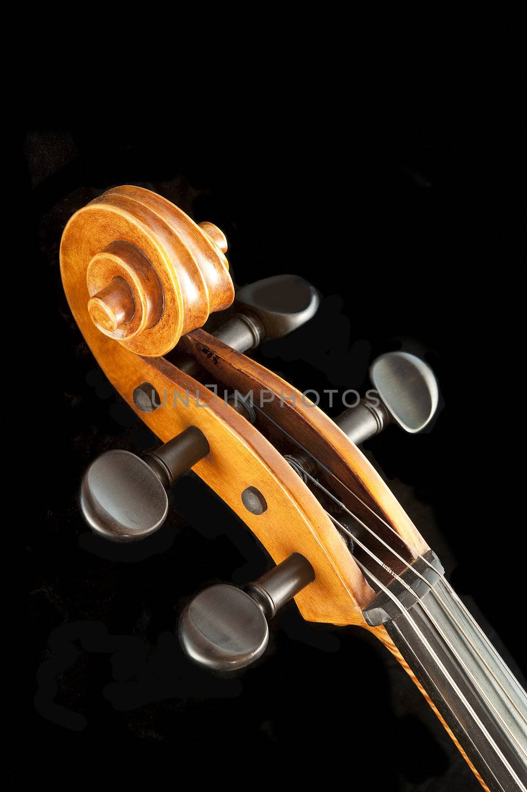 Cello scroll and peg adjustments by f/2sumicron