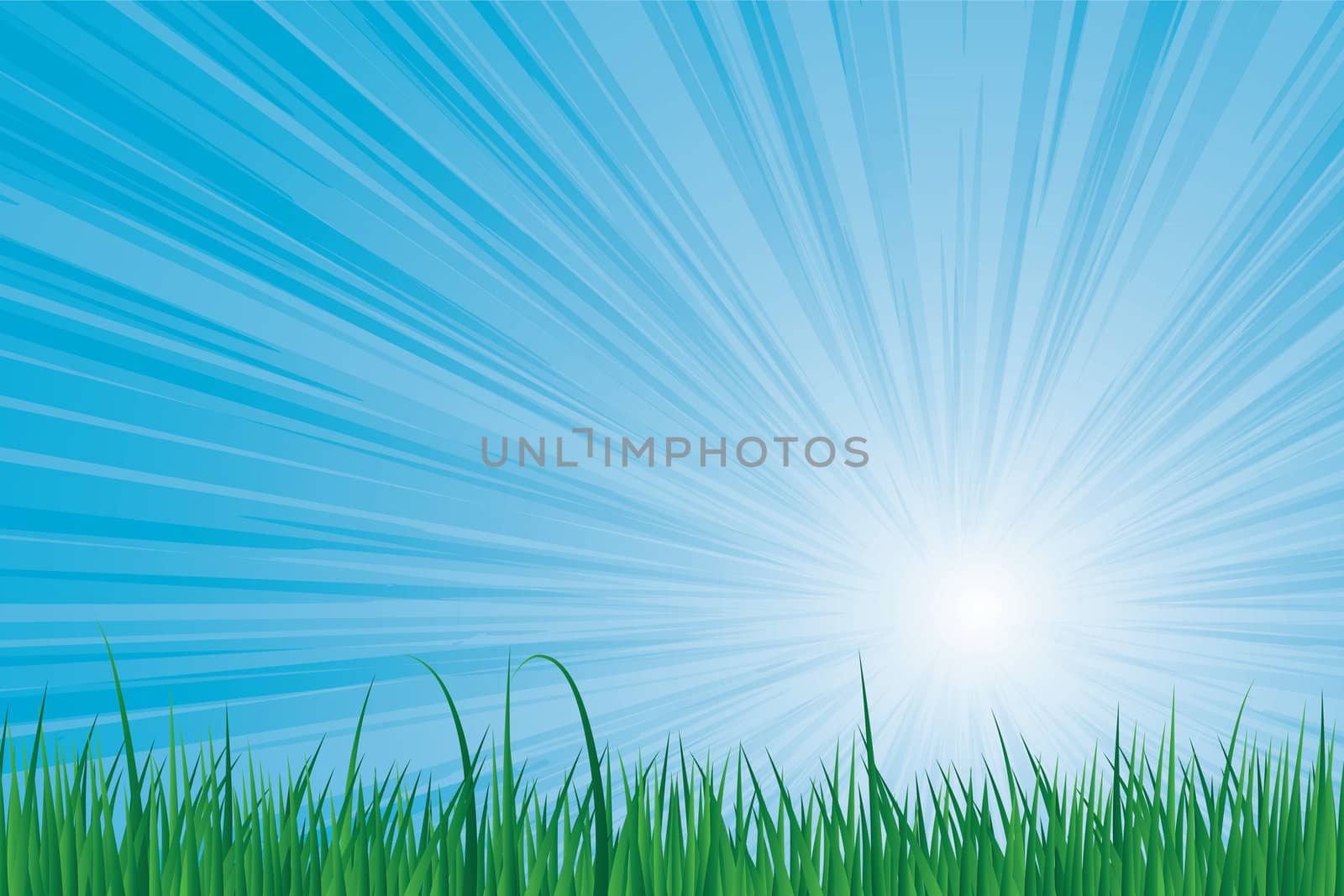 Sunburst blue sky green grass vector image.