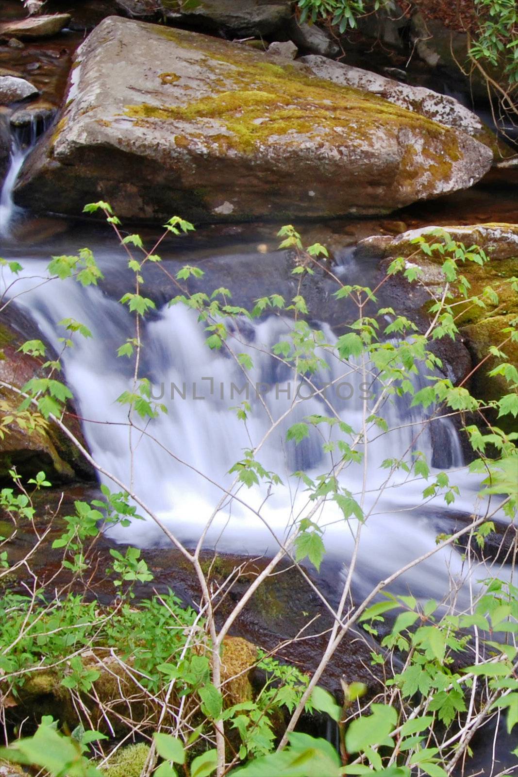 Smokey mountain waterfall by tyroneburkemedia@gmail.com