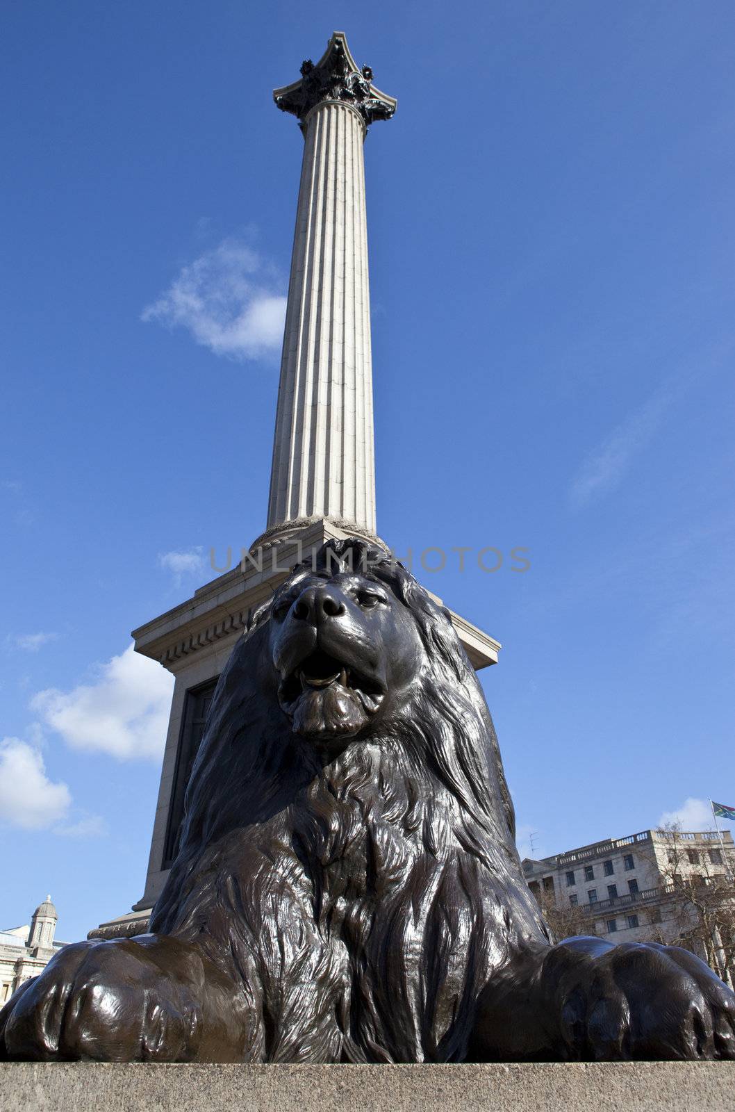 Nelson's Column and Lion Statue in Trafalgar Square.