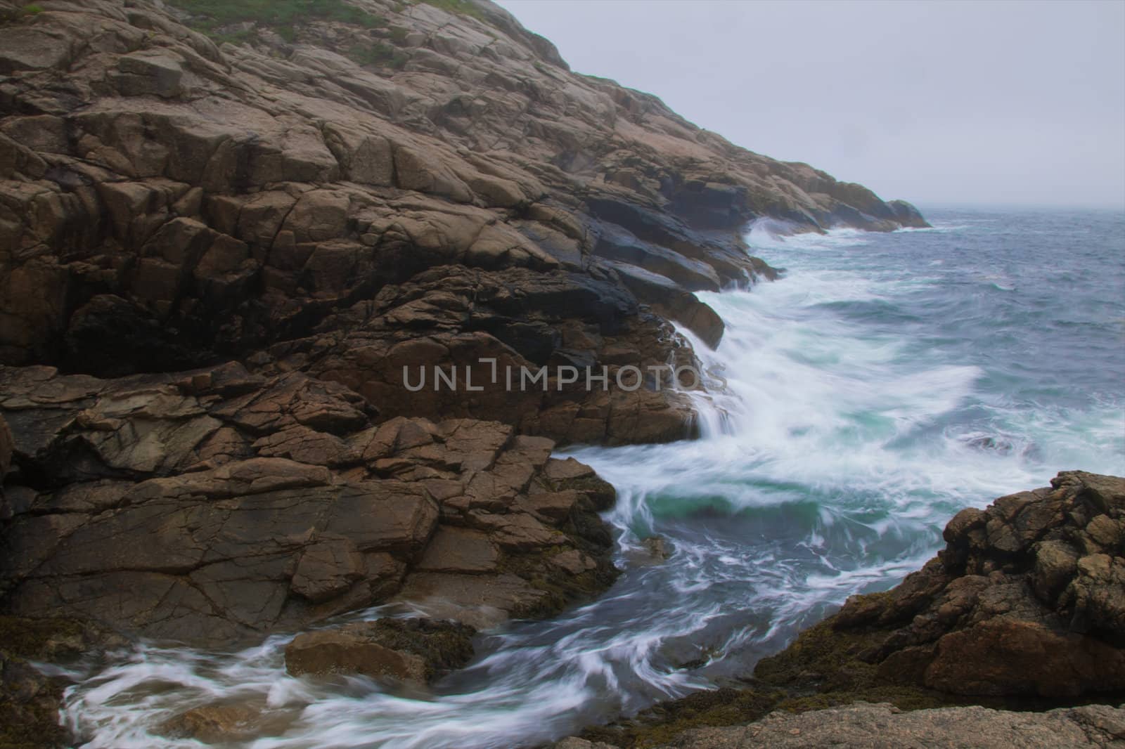 A wave rushes in among the rocks at Chebucto Head, Nova Scotia.