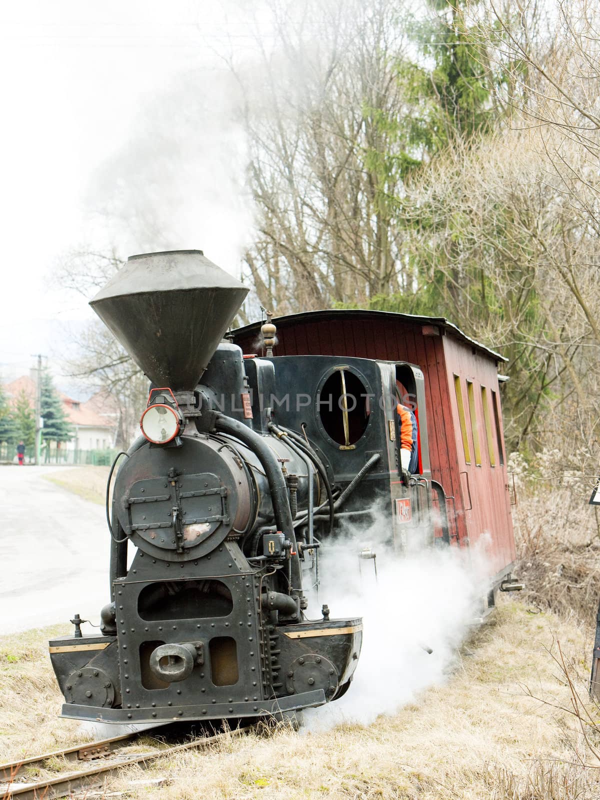 steam train, Ciernohronska Railway, Slovakia