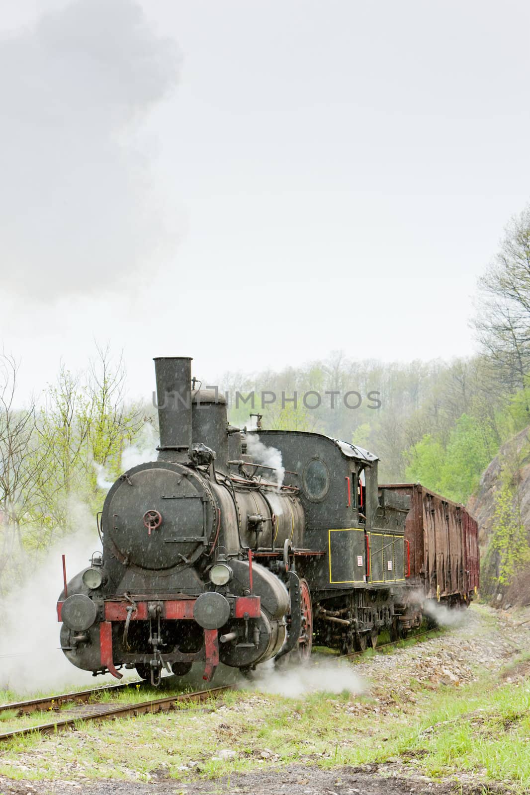 steam freight train (126.014), Resavica, Serbia by phbcz